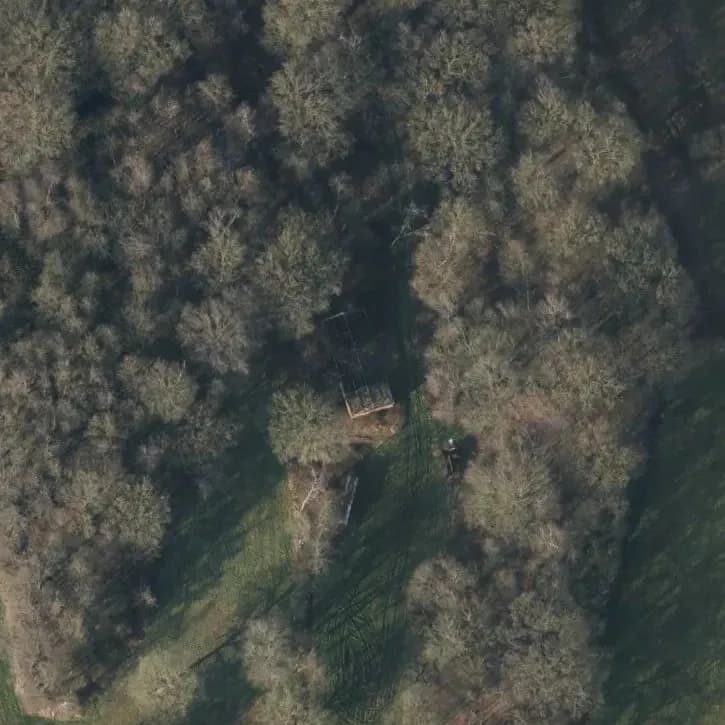 Ruine Schuur	